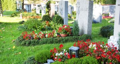 Friedhof wo zwei bepflanzte Gräber zu sehen sind