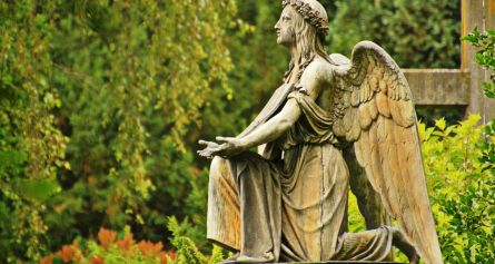Stein Engel mit Moss besetzt auf einem Friedhof - Köln - Leo Kuckelkorn